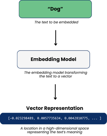 An illustration of transforming the text Dog into a vector by using a model to turn the text into a vector.