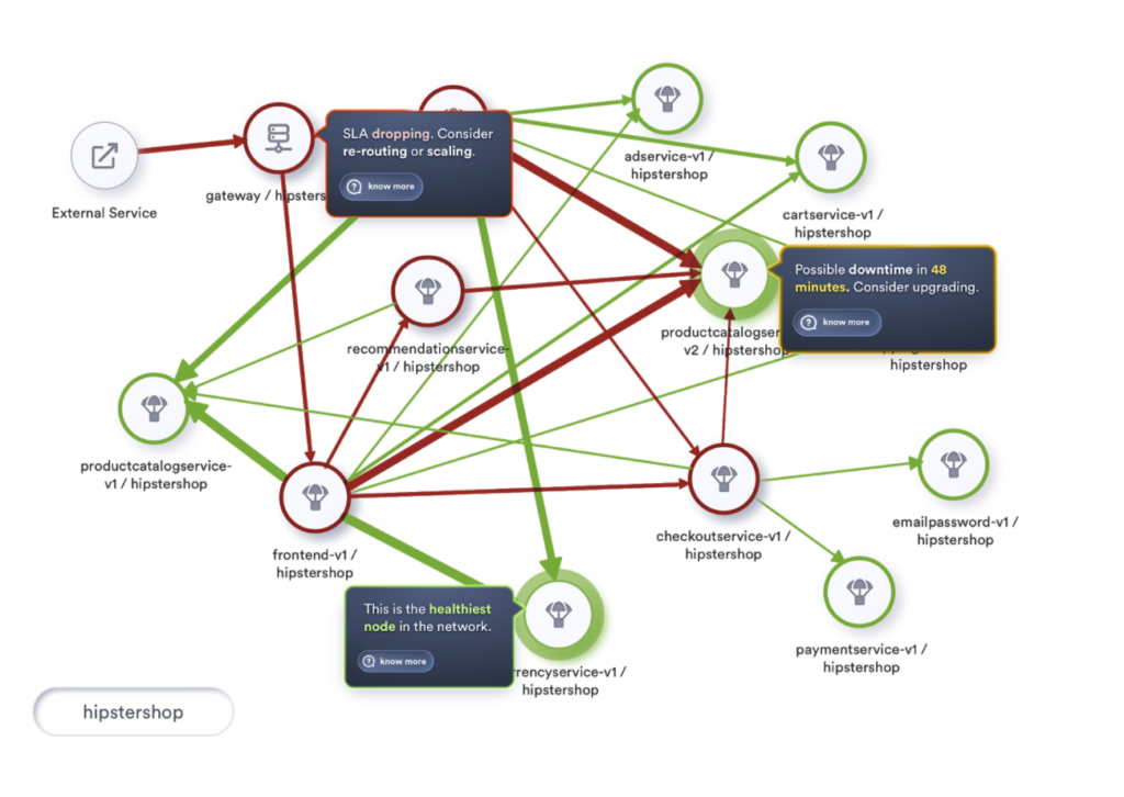 Topology and Monitor Services
