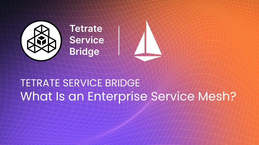 What%20Is%20an%20Enterprise%20Service%20Mesh%3F