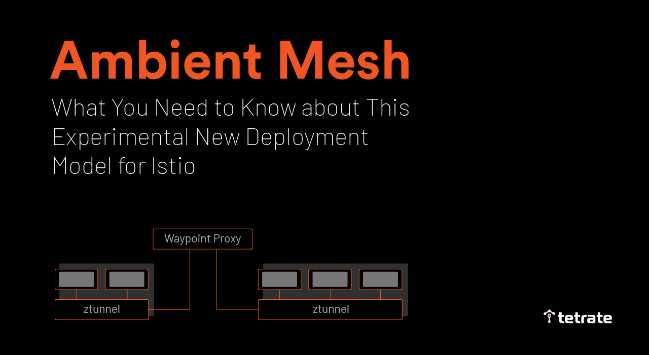 Ambient Mesh: What You Need to Know about This Experimental New ...