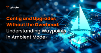 Config%20and%20Upgrades%20Without%20the%20Overhead:%20Understanding%20Waypoints%20in%20Ambient%20Mode