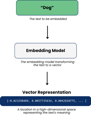 An illustration of transforming the text Dog into a vector by using a model to turn the text into a vector.