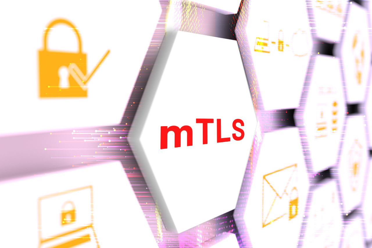mTLS%20Best%20Practices%20for%20Kubernetes