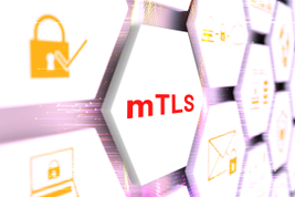 mTLS%20Best%20Practices%20for%20Kubernetes