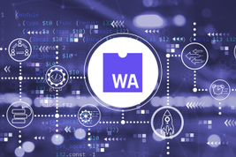 Validating%20a%20Request%20Payload%20with%20Wasm