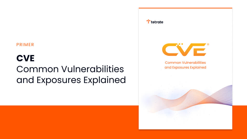 Common Vulnerabilities and Exposures (CVE) Explained