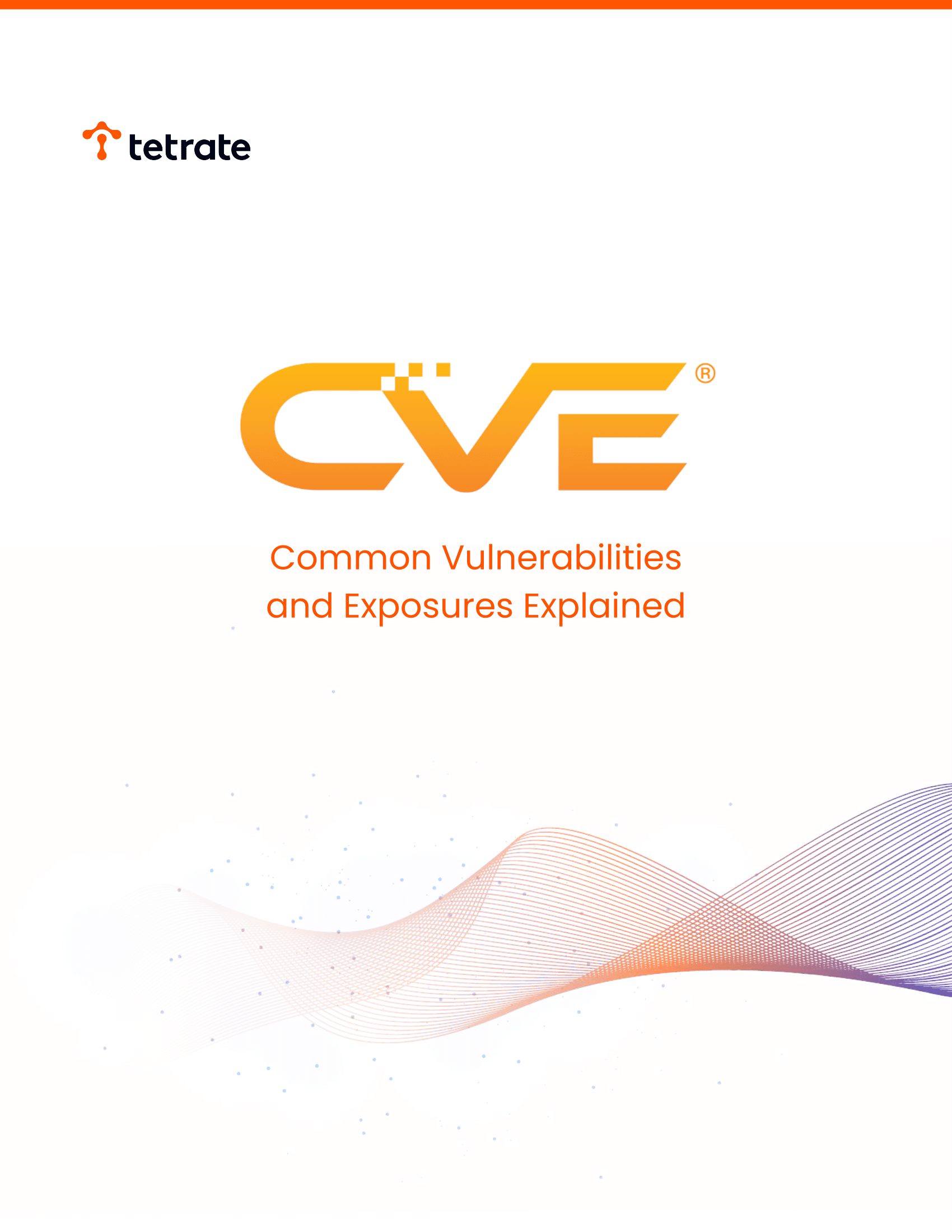 Common Vulnerabilities and Exposures (CVE) Explained