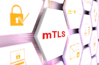 mTLS%20Best%20Practices%20for%20Kubernetes