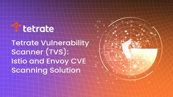 TVS%3A%20Istio%20and%20Envoy%20CVE%20Scanning%20Solution