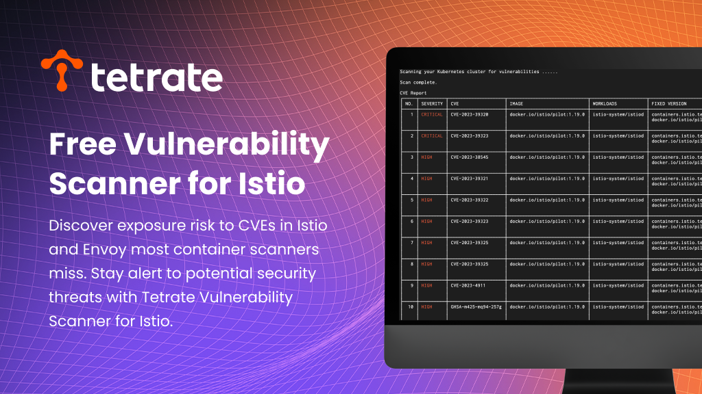 Free CVE Vulnerability Scanner for Istio and Envoy