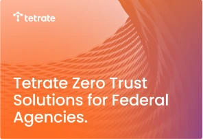 Illustration of Zero Trust use case for government