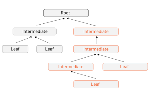 Alt: PKI certificate tree with a root, three intermediate signing CAs, and four leaf certificates (issued by various intermediates across the tree).