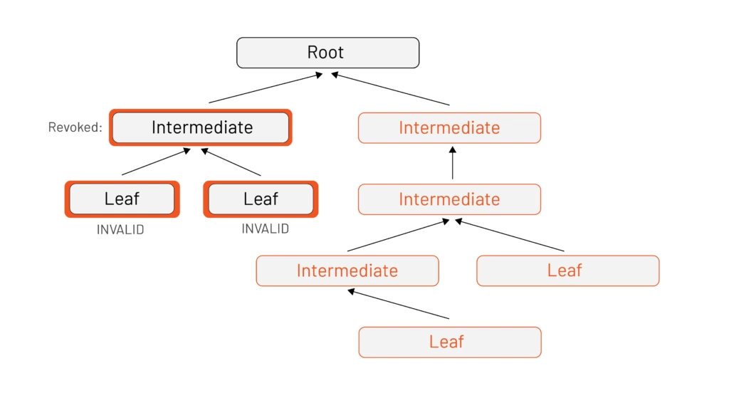 Alt: With the same PKI tree as before, we show how revoking an intermediate CA in part of the tree invalidates that intermediate certificate, as well as the leaf certificates created by it.