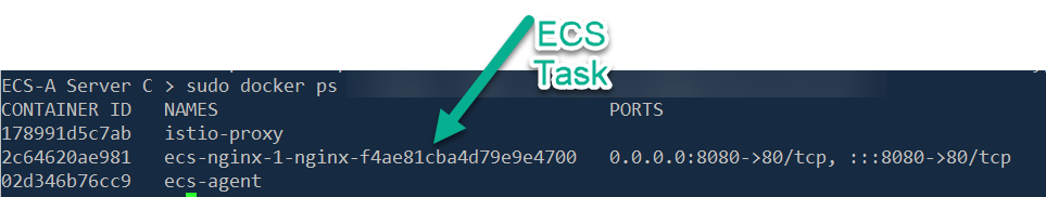 ECS Task