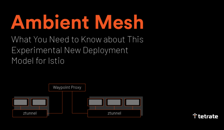 Ambient Mesh
