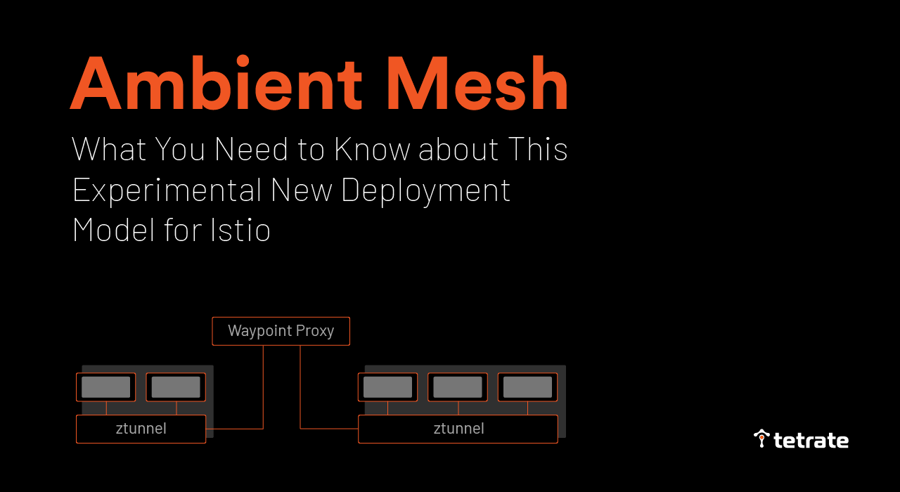 Ambient Mesh