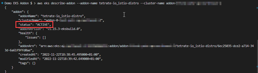 AWS eks describe-addon to monitor deployment status