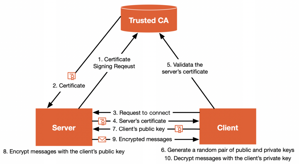 TLS certificate issuance and validation process