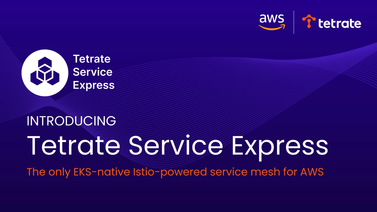 Tetrate Service Express (TSE)